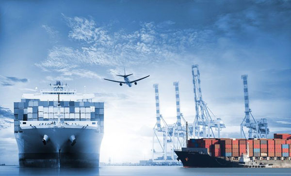 上海进出口权许可证